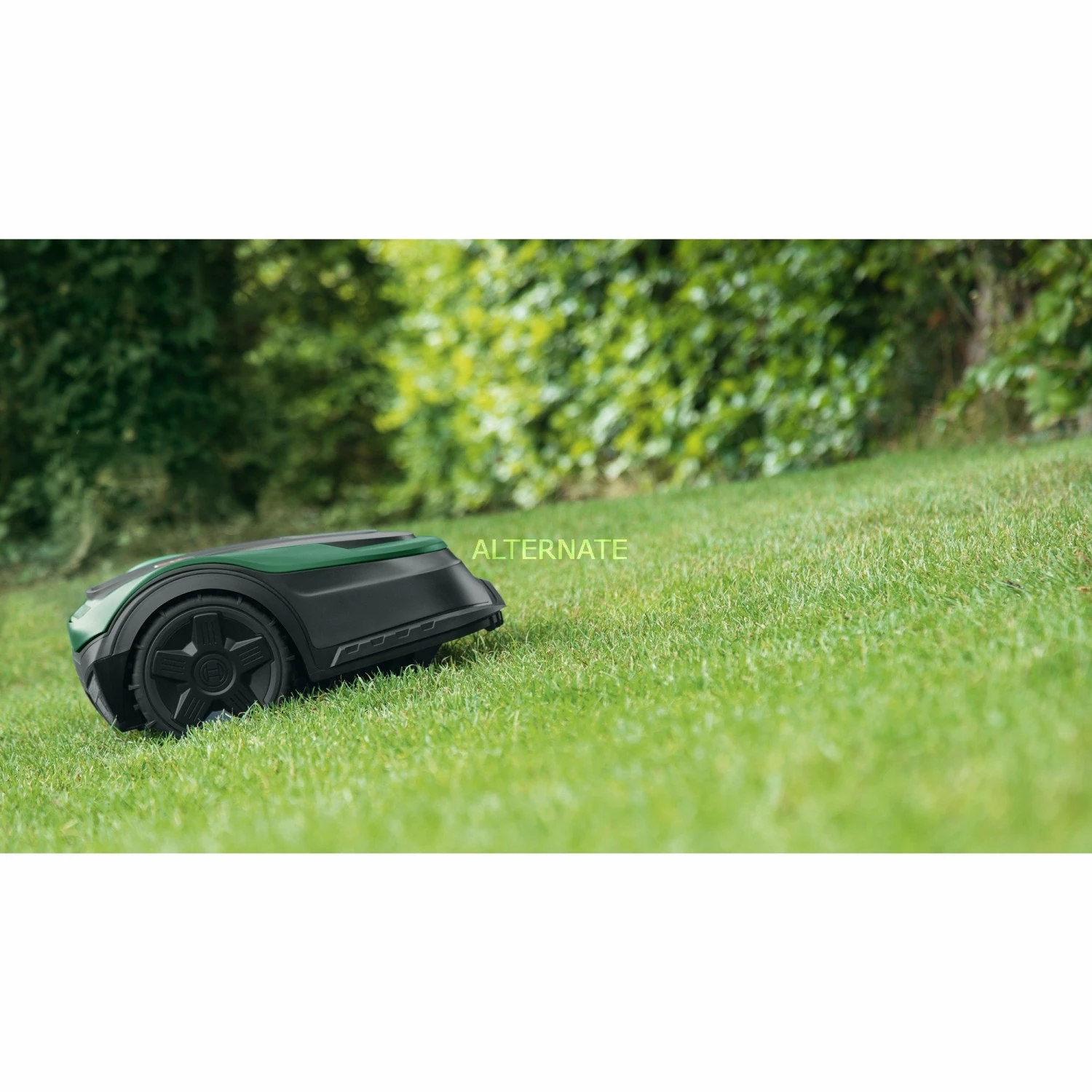 Bosch Mähroboter Indego XS 300 (grün/schwarz) Bosch Mähroboter Indego XS 300 (grün/schwarz) -Alternate Verkaufsladen Bosch M hroboter Indego XS 300@@1827698 2