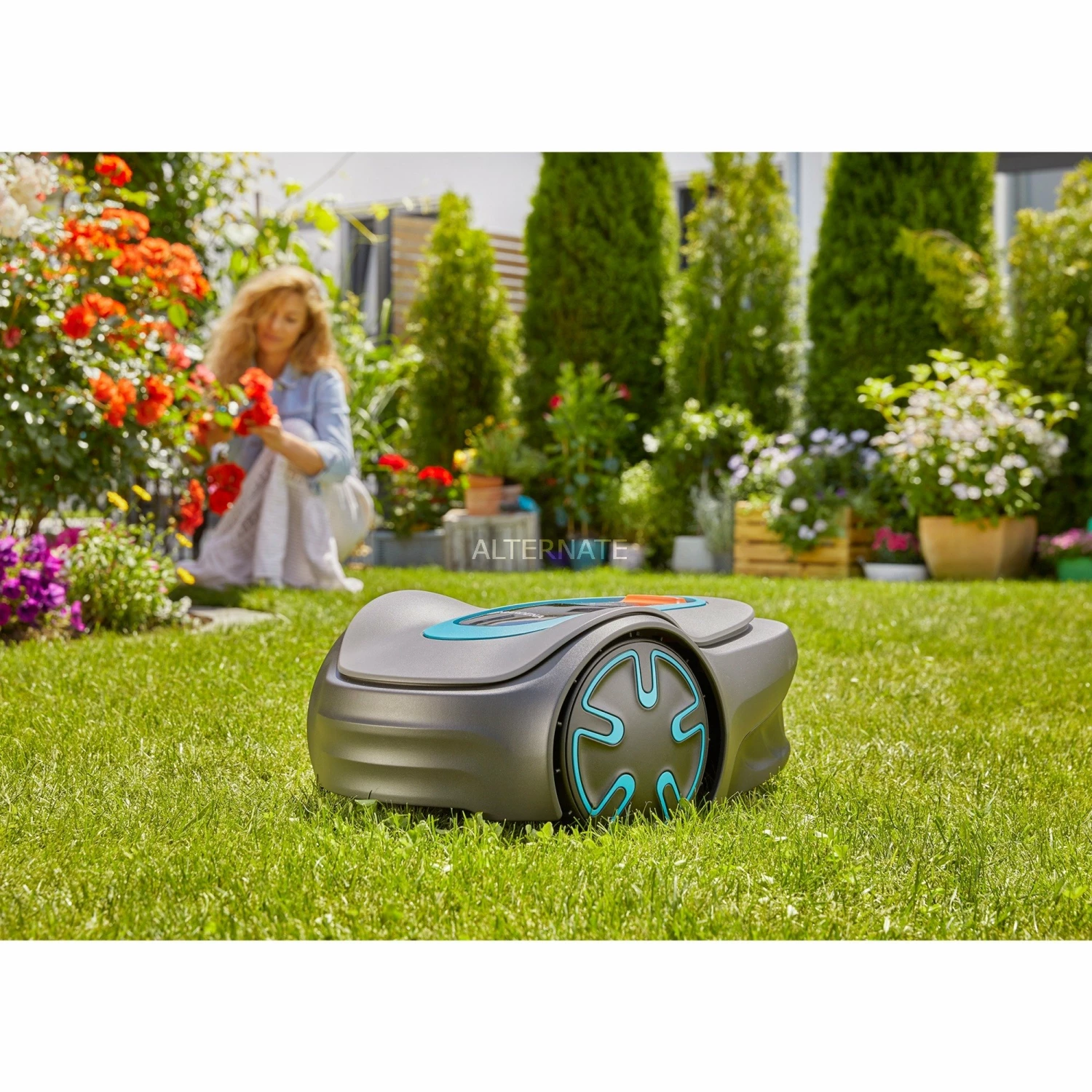 GARDENA Mähroboter SILENO minimo 250m² (grau/türkis, Li-Ionen Akku 2,1Ah) GARDENA Mähroboter SILENO Minimo 250m² (grau/türkis, Li-Ionen Akku 2,1Ah) -Alternate Verkaufsladen GARDENA M hroboter SILENO minimo 250m @@1687882 1