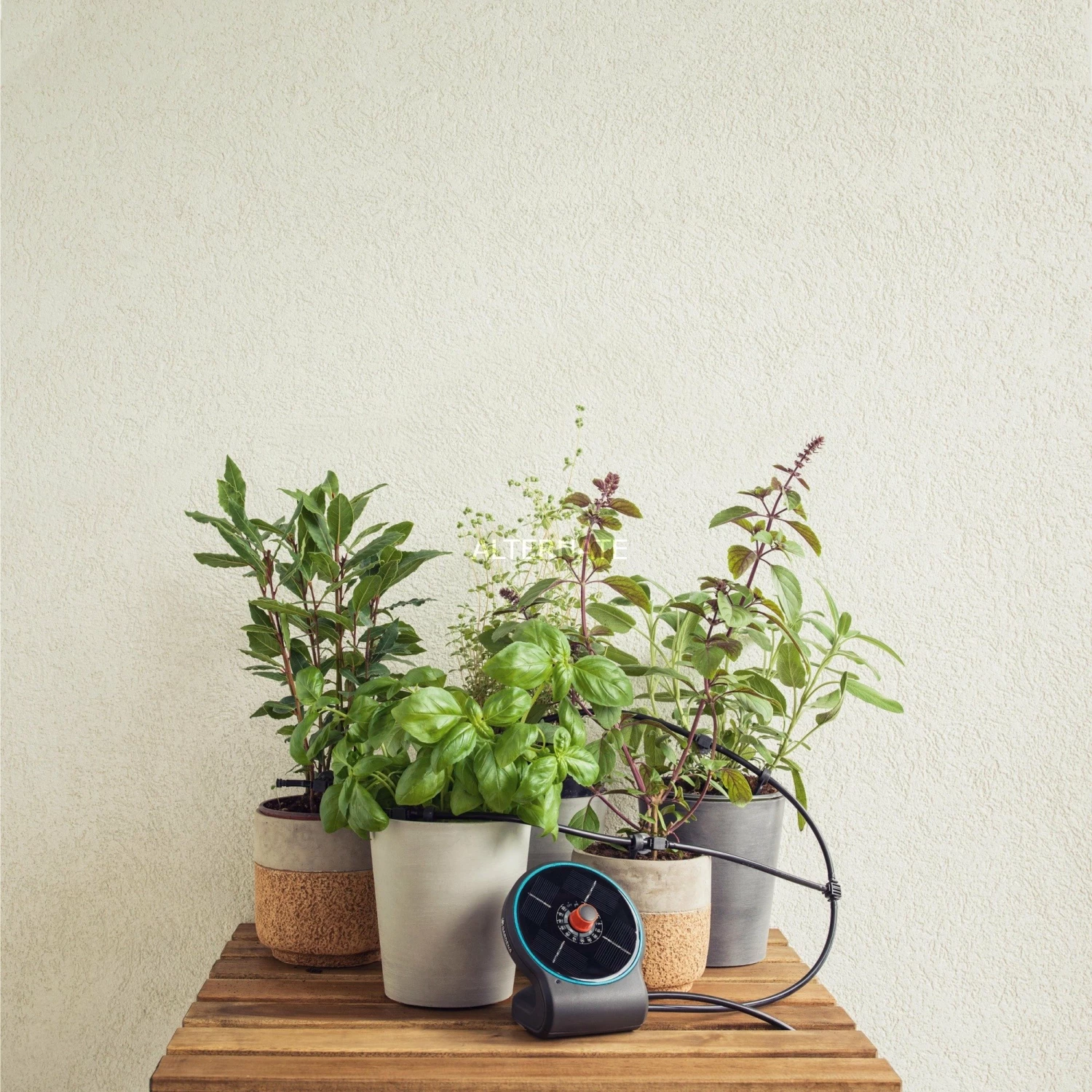 GARDENA Solar-Bewässerung AquaBloom Set, Bewässerungssteuerung (grau, für bis zu 20 Pflanzen) GARDENA Solar-Bewässerung AquaBloom Set, Bewässerungssteuerung (grau, Für Bis Zu 20 Pflanzen) -Alternate Verkaufsladen GARDENA Solar Bew sserung AquaBloom Set Bew sserungssteuerung@@9widsu00 1