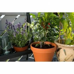 GARDENA City Gardening Urlaubsbewässerung-Set 1265-20, Bewässerungssteuerung (grau) -Alternate Verkaufsladen GARDENA city gardening Urlaubsbew sserung Set 1265 20 Bew sserungssteuerung@@9wiedu00 4