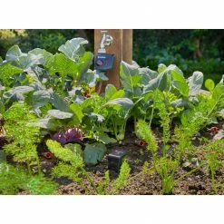 GARDENA Smart Garden GARDENA Smart Sensor Control Set (grau/türkis, 3-teilig) -Alternate Verkaufsladen GARDENA smart Sensor Control Set@@1688265 2