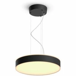 Leuchten Philips Hue White Ambiance Enrave Pendelleuchte, LED-Leuchte (schwarz)