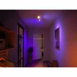 Leuchten Philips Hue White & Color Ambiance Centris 2er-Deckenspot, LED-Leuchte (weiß) -Alternate Verkaufsladen Philips Hue White Color Ambiance Centris 2er Deckenspot LED Leuchte@@1848079 4